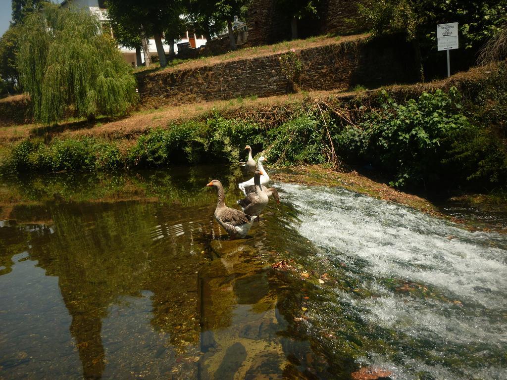 Pension Santa Rosa サモス エクステリア 写真